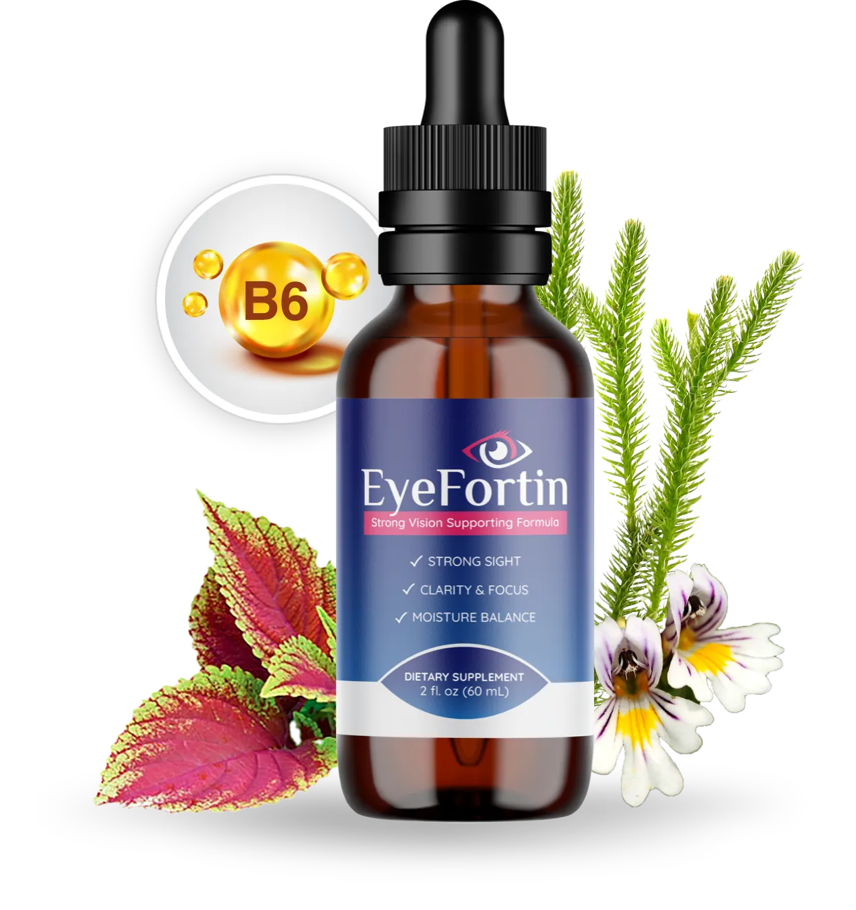 EyeFortin 1 Bottle